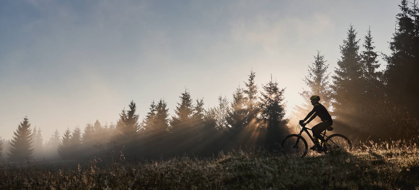 Ciclista a contraluz entre la niebla, con los rayos del sol atravesando un bosque de abetos